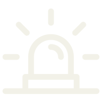 Alarms and Video Systems